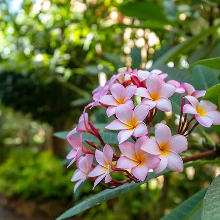 Playa Alicate, 2 Bedroom Apartament *